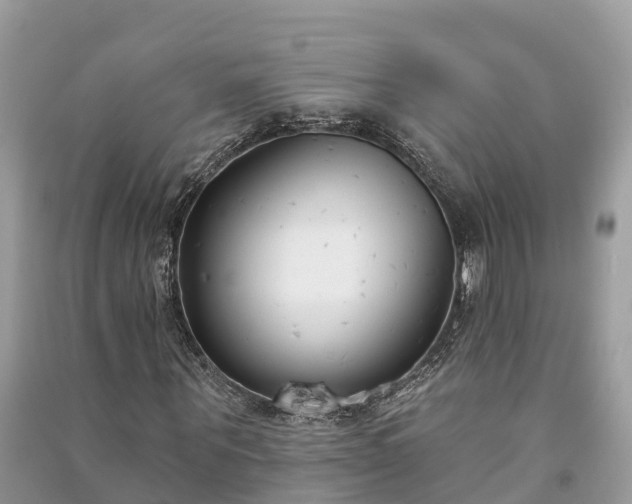X0000091000867200708091538