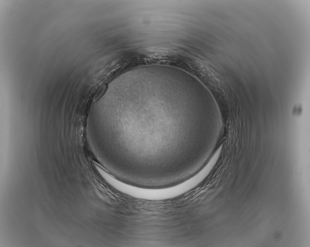 X0000091000868200708091538
