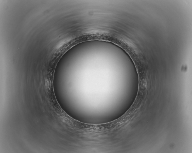 X0000091000869200708091538