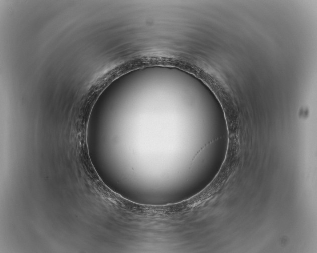 X0000091000870200708091538