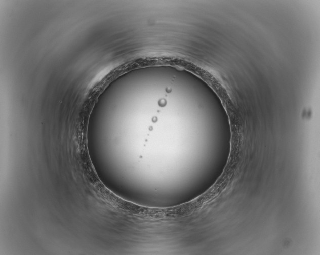 X0000091000871200708091538
