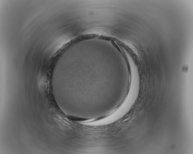 X0000091000872200708091538