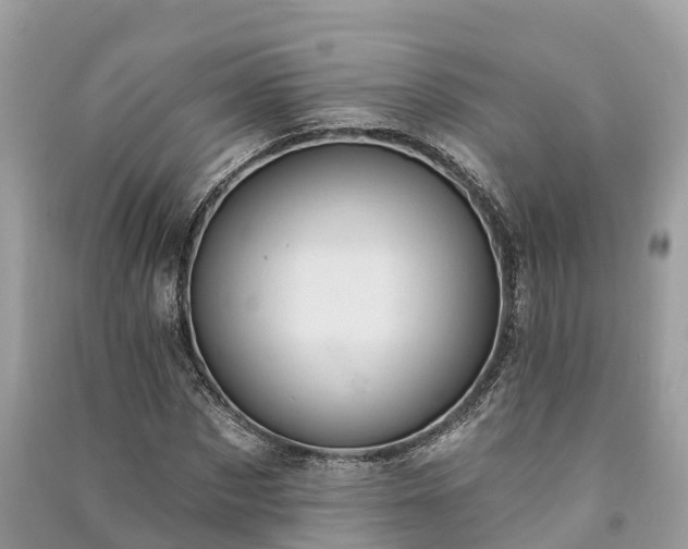 X0000091000873200708091537
