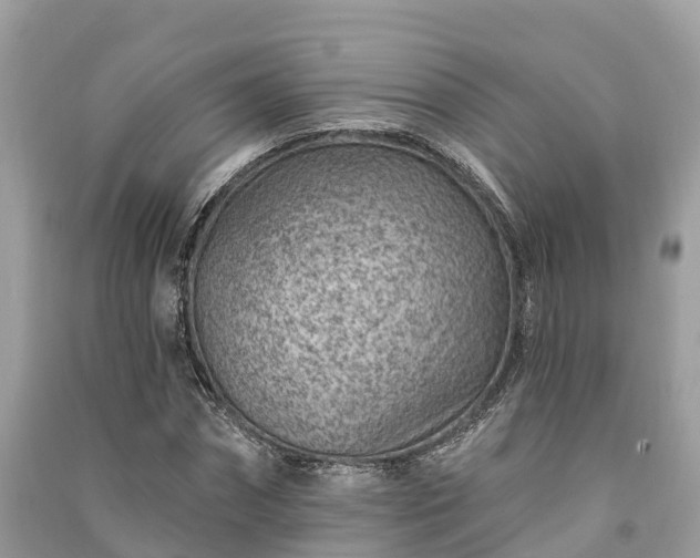 X0000091000874200708091537