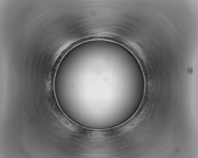 X0000091000875200708091537