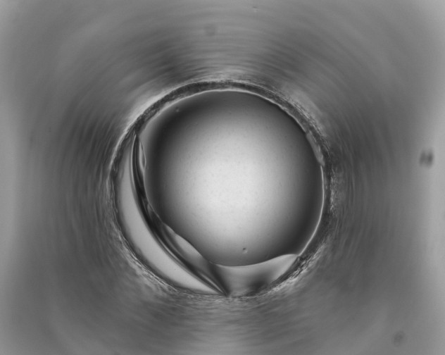 X0000091000876200708091537