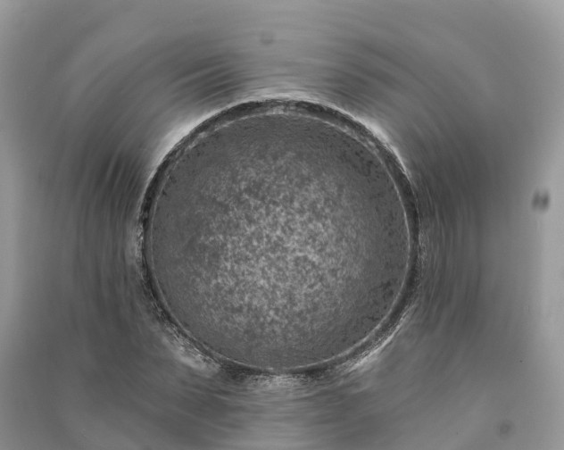 X0000091000879200708091537