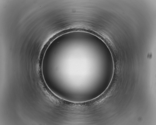 X0000091000880200708091537