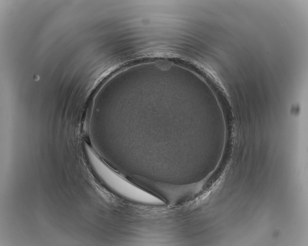 X0000091000881200708091537