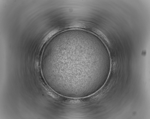 X0000091000882200708091537