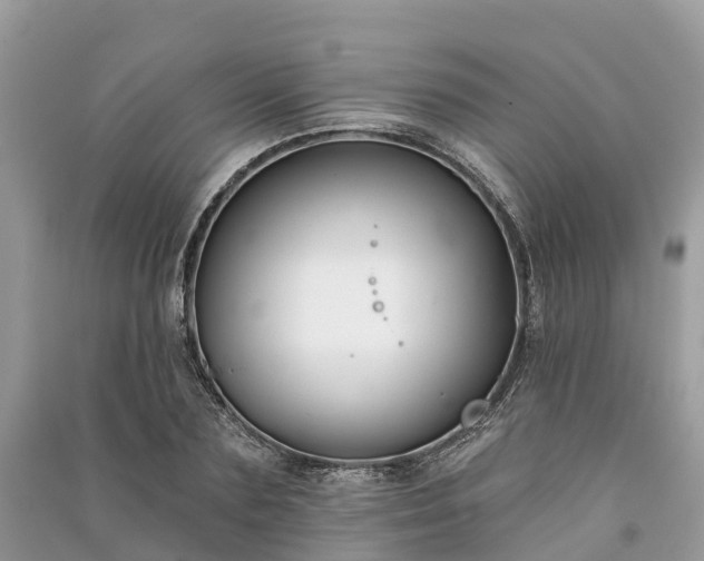 X0000091000883200708091537