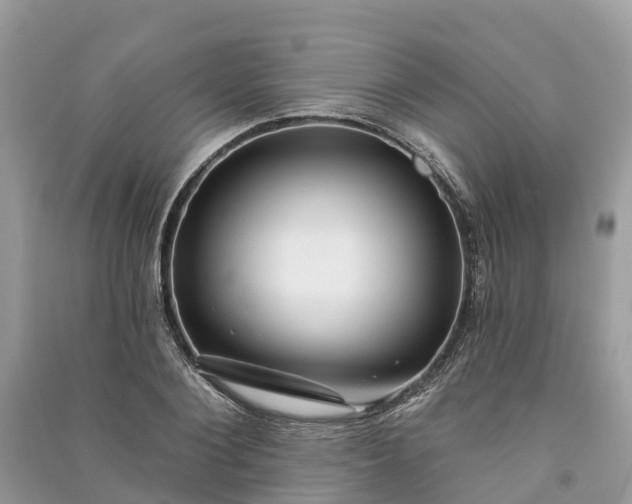 X0000091000884200708091537