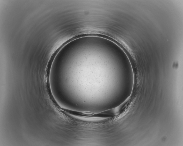 X0000091000885200708091537