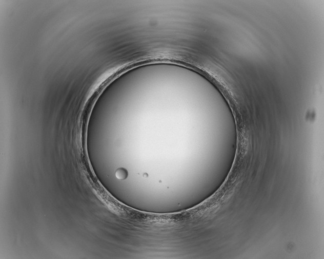 X0000091000886200708091537