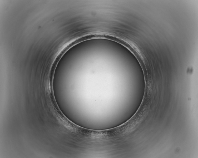 X0000091000887200708091537