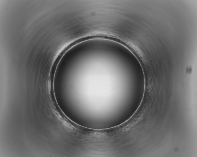 X0000091000888200708091537