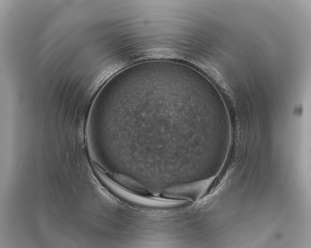 X0000091000889200708091537