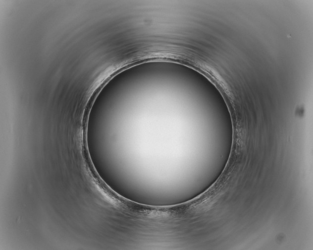 X0000091000890200708091537