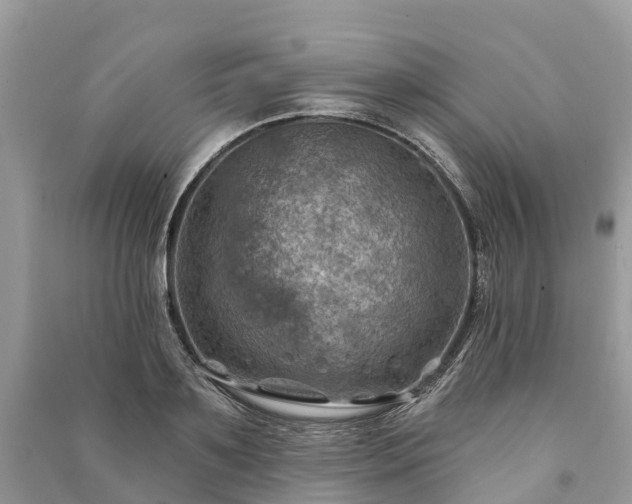 X0000091000891200708091537
