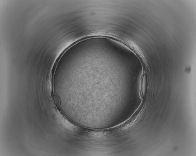 X0000091000892200708091537