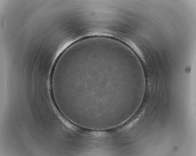 X0000091000893200708091537