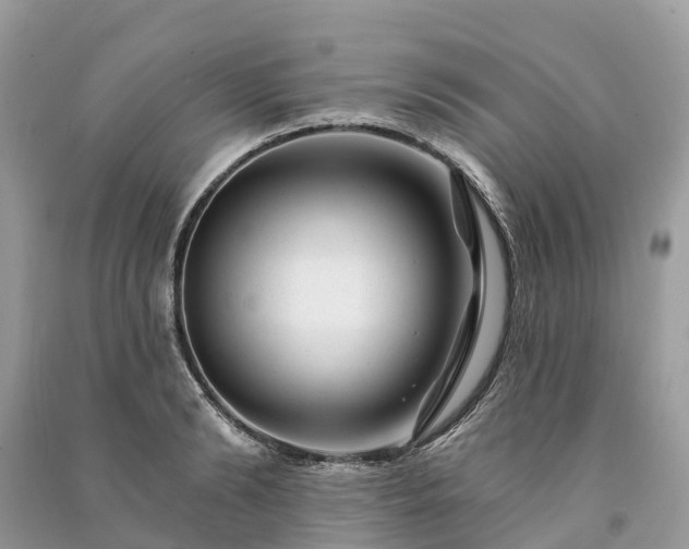 X0000091000894200708091537