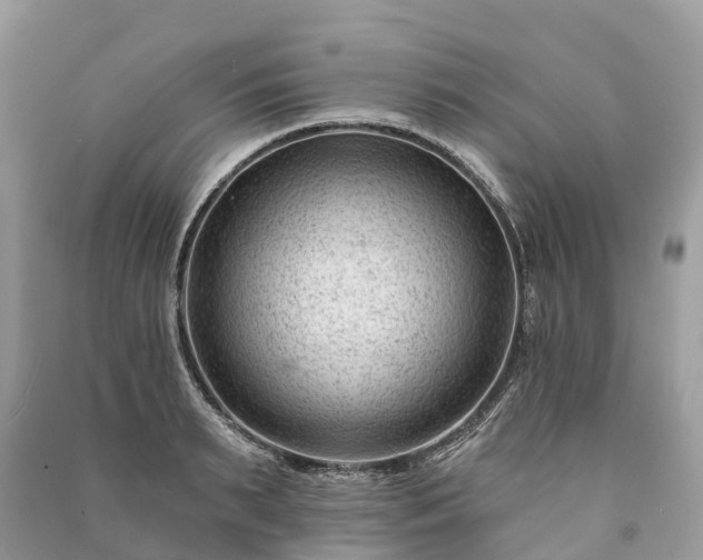 X0000091000895200708091537