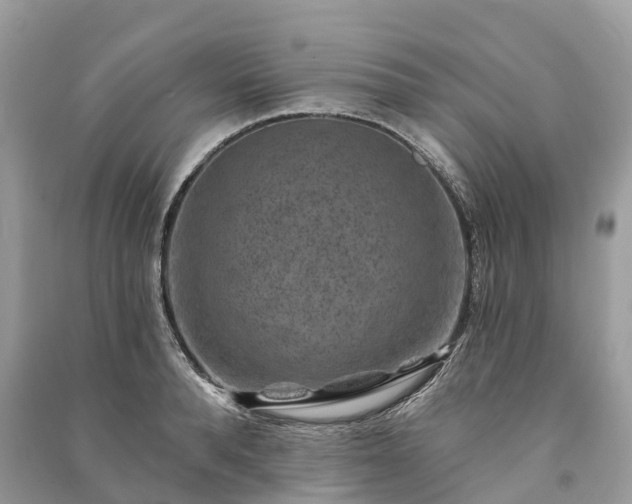 X0000091000896200708091537