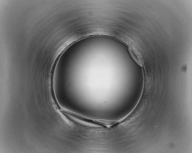 X0000091000898200708091537