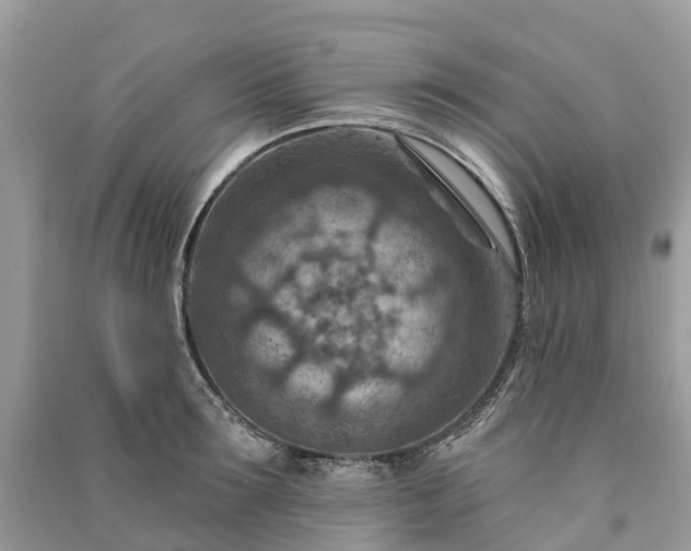 X0000091000899200708091537