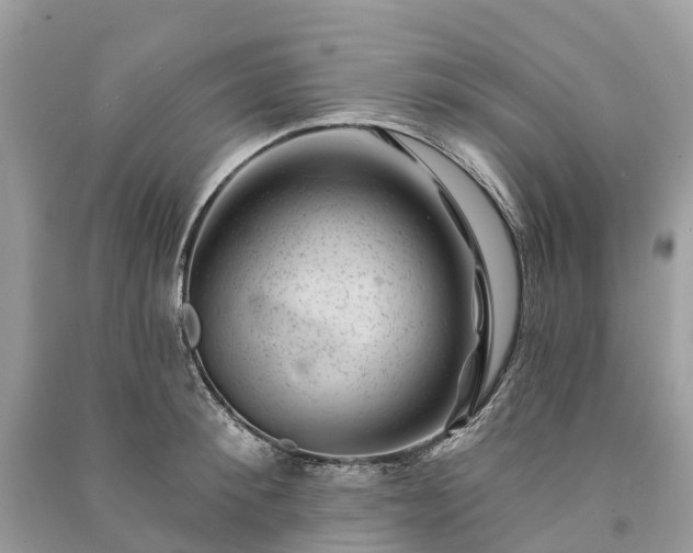 X0000091000900200708091537