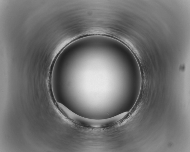 X0000091000901200708091537