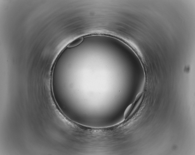 X0000091000903200708091537