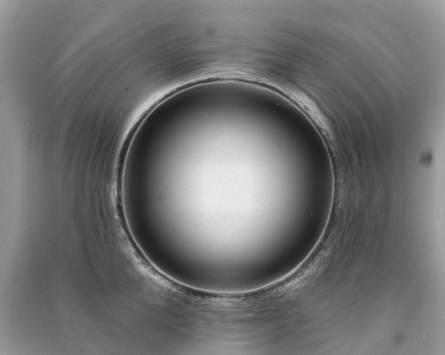 X0000091000904200708091537