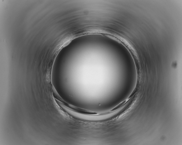 X0000091000905200708091537