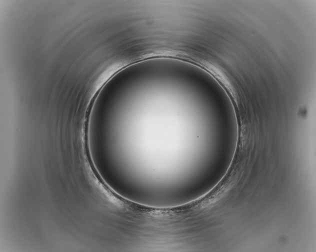 X0000091000906200708091537