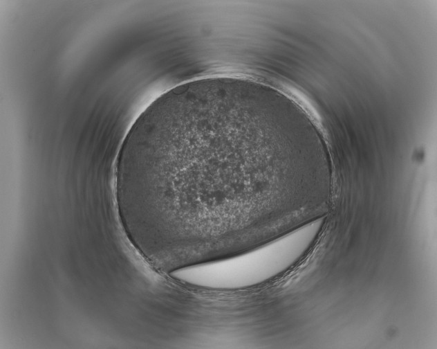 X0000091000907200708091537