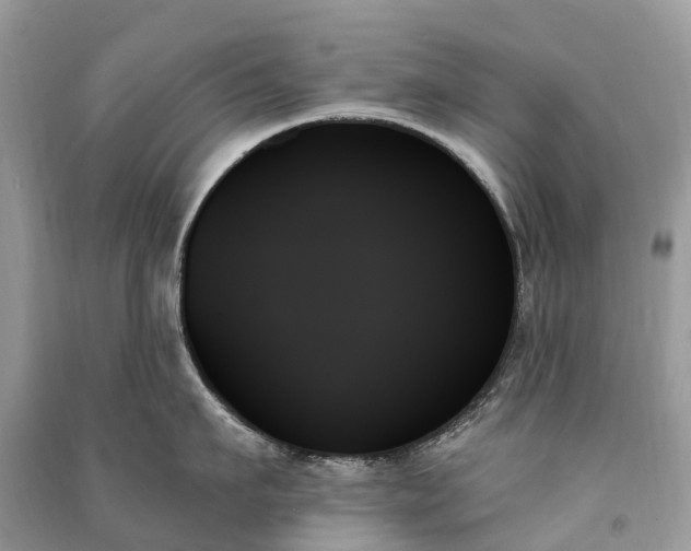 X0000091000911200708091537
