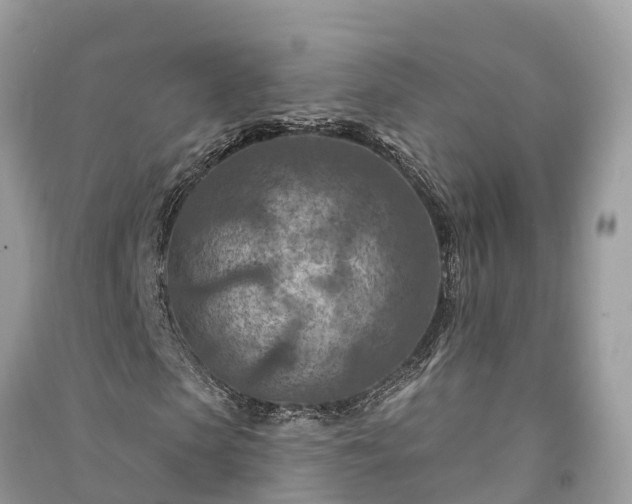 X0000091000913200708091536