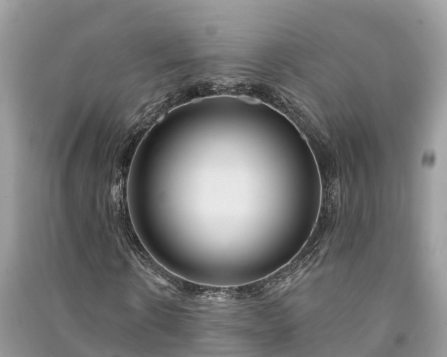 X0000091000914200708091536