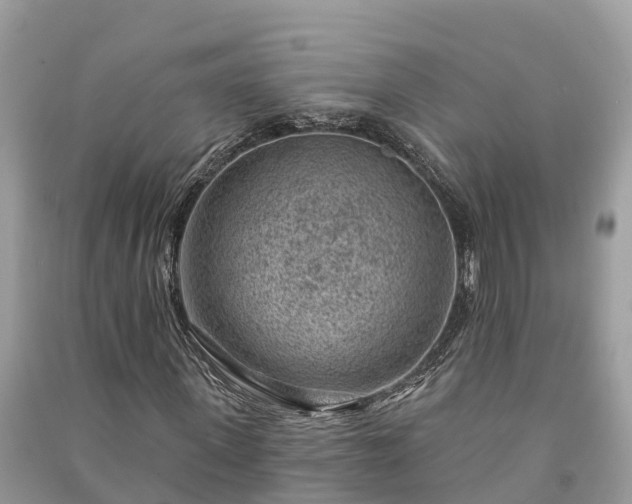 X0000091000915200708091536