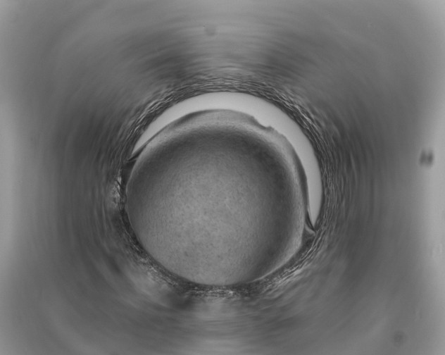 X0000091000916200708091536