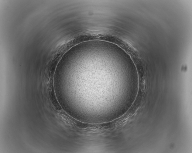 X0000091000917200708091536