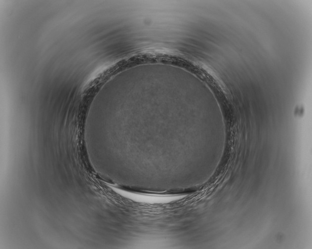 X0000091000919200708091536
