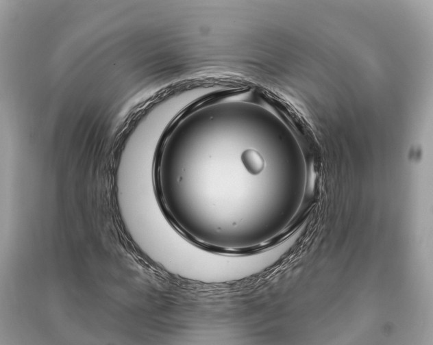 X0000091000920200708091536