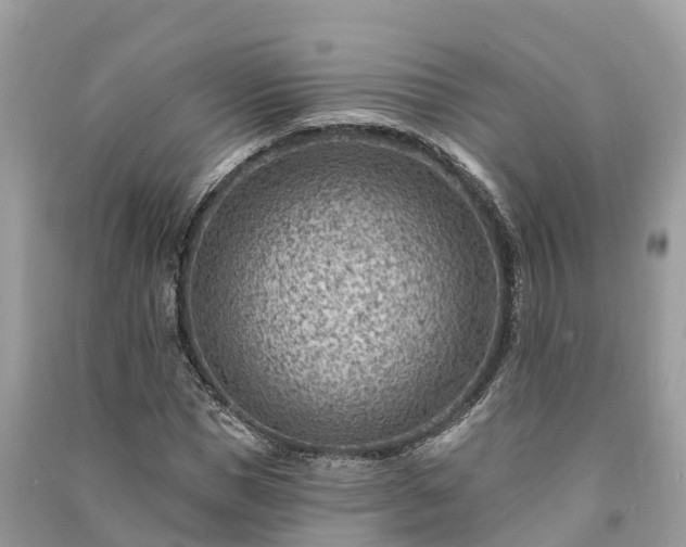 X0000091000921200708091536