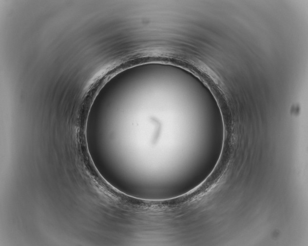 X0000091000922200708091536