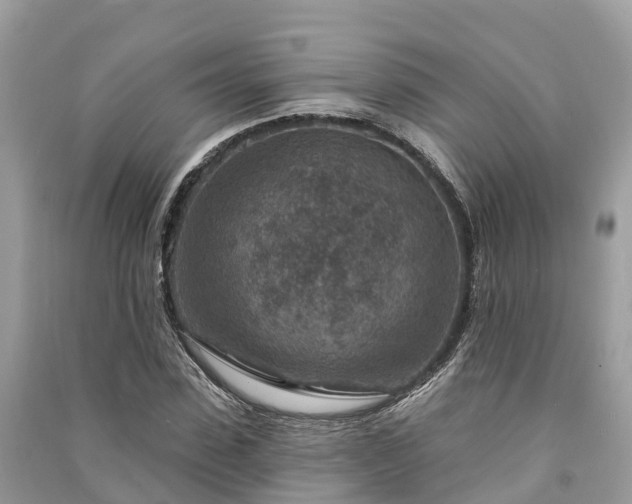 X0000091000923200708091536