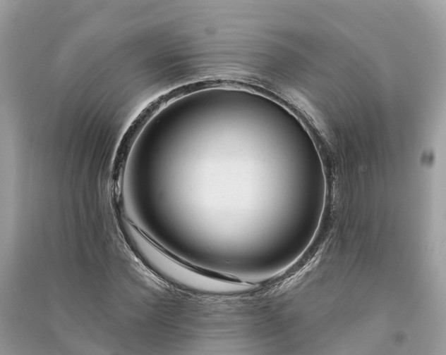 X0000091000924200708091536
