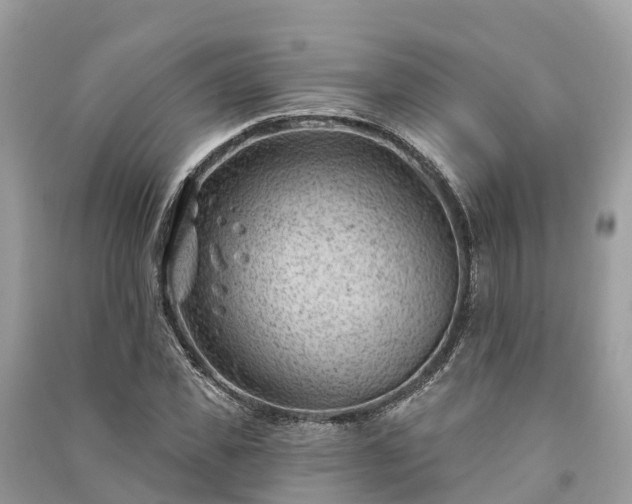 X0000091000925200708091536